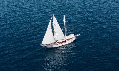 Custom Made Beyaz Lale Beyaz Lale