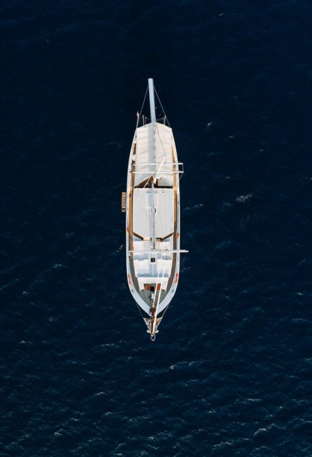 Custom Made Beyaz Lale Beyaz Lale