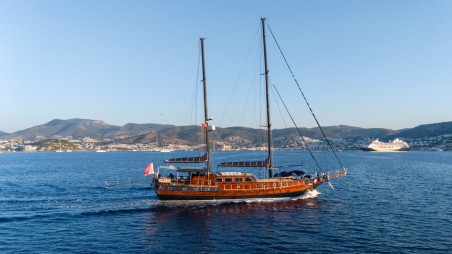 Custom Made Capricorn 1 Capricorn 1