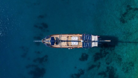 Custom Made Capricorn 1 Capricorn 1