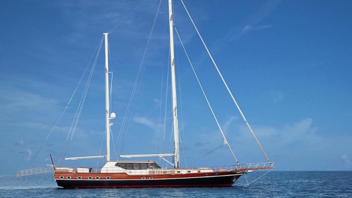 Unknown Dragon fly Dragon Fly