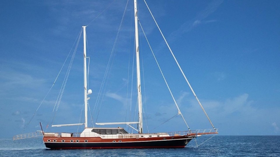 Unknown Dragon fly Dragon Fly