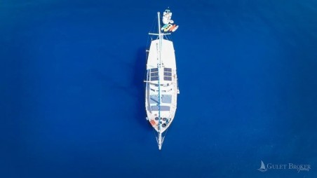 Unknown Sirena Sirena