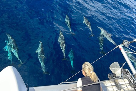 Lagoon-Bénéteau Lagoon 42 - 4 + 2 cab. Lorelei