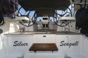 Bavaria Yachtbau Bavaria C42 Style Silver Seagull - 5