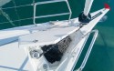 Dufour 390 GL | Yacht Charter France | Travelboat - 8