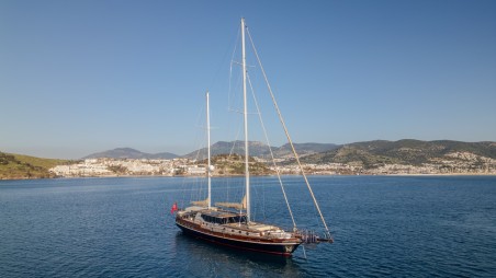 Unknown Dragon fly Dragon Fly