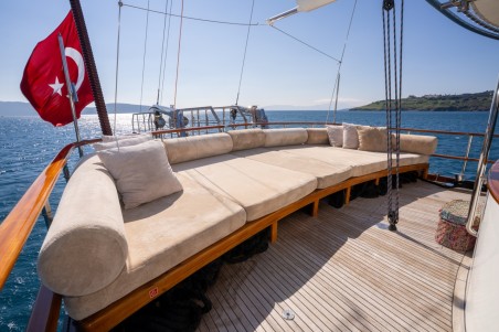 Unknown Dragon fly Dragon Fly