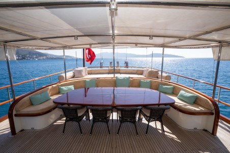 Unknown Dragon fly Dragon Fly