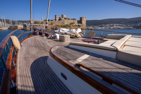 Unknown Dragon fly Dragon Fly