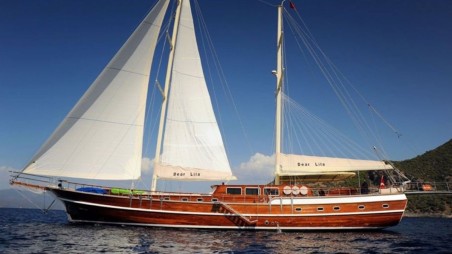 Unknown Dear Lila Dear Lila