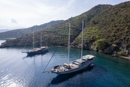 Unknown Prenses Lila Prenses Lila