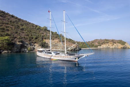 Unknown Prenses Lila Prenses Lila