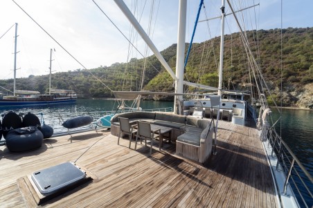 Unknown Prenses Lila Prenses Lila