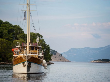 Custom Made Novi Dan Novi Dan