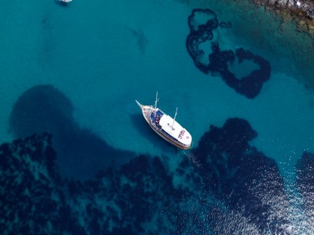 Custom Made Novi Dan Novi Dan