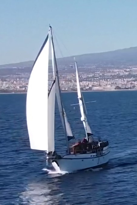 Custom Made Goletta 20 Oasis