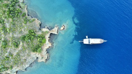 Custom Made Bluefest Bluefest