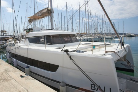 Catana Group Bali Catspace Meme