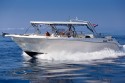 Enzo 35 | Yacht Charter Croatia | Travelboat - 1