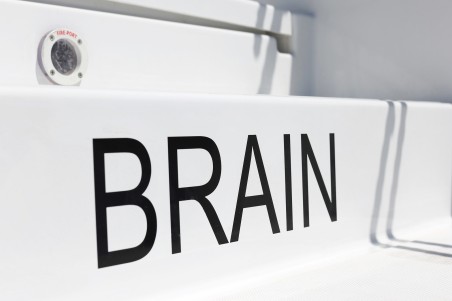 Catana Group Bali 4.6 - 4 + 1 cab. Brain