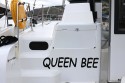 Catana Group Bali Catspace Queen Bee