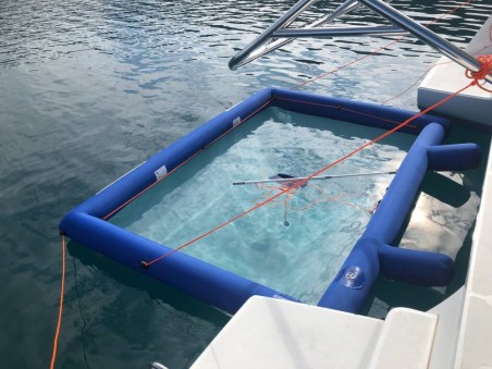 Lagoon-Bénéteau Lagoon 450 S - 4 + 2 cab. Adriatic Queen