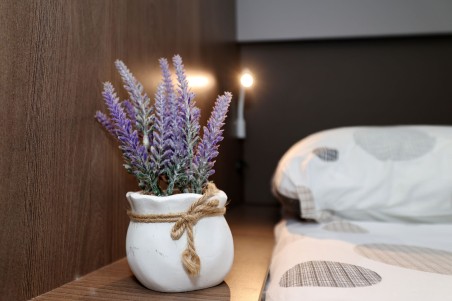 Catana Group Bali Catspace Jenny