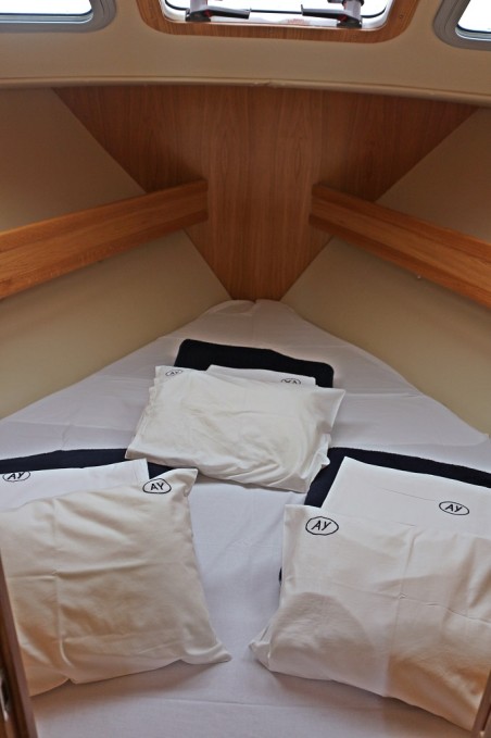 SAS - Vektor Adria 1002 Vektor Jedva