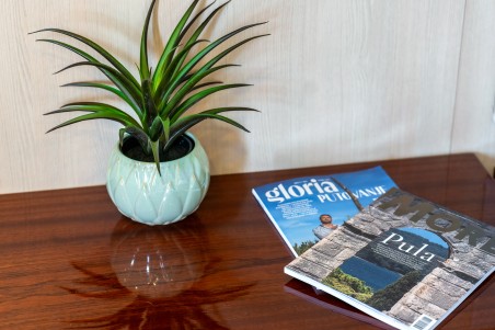 Unknown M/S Carpe Diem Carpe Diem