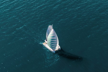 Lagoon-Bénéteau Lagoon 43 - 4 + 2 cab. Ema