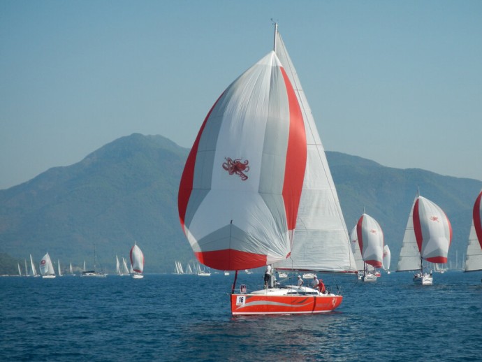 AD Boats Salona 41 Race Dog
