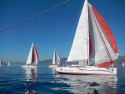 AD Boats Salona 41 Wild Bee