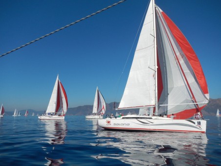 AD Boats Salona 41 Wild Bee