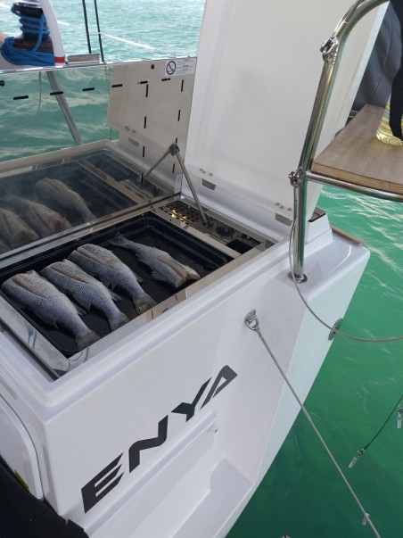 Elan Marine Elan Impression 45.1 Enya