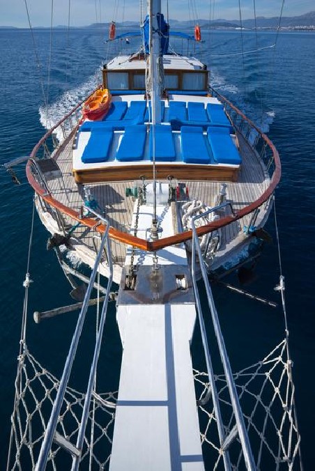 Unknown MSY Atalanta Atalanta