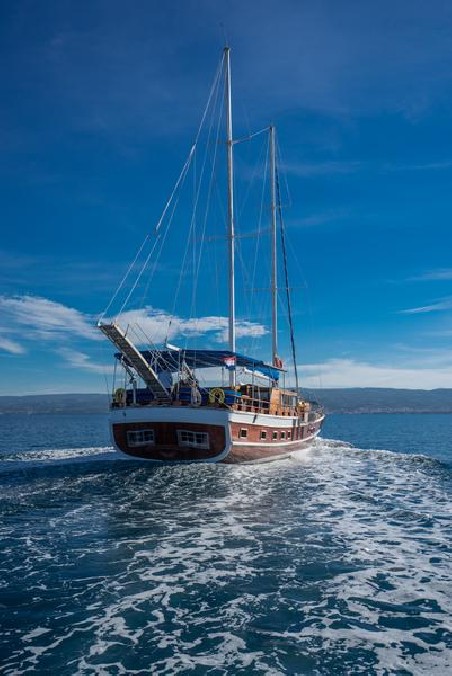 Unknown MSY Atalanta Atalanta