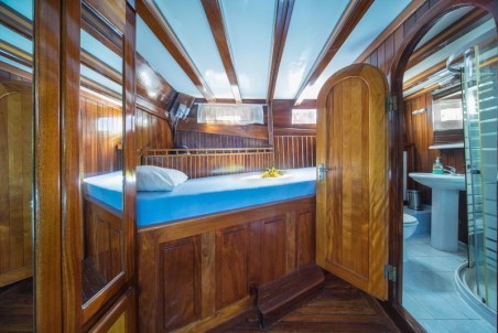 Unknown MSY Atalanta Atalanta