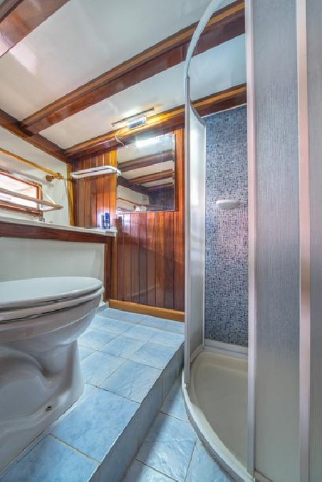 Unknown MSY Atalanta Atalanta