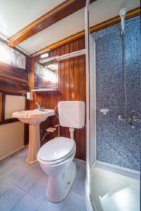 Unknown MSY Atalanta Atalanta