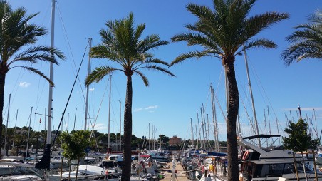 Bavaria Yachtbau Bavaria Cruiser 51 Firewall