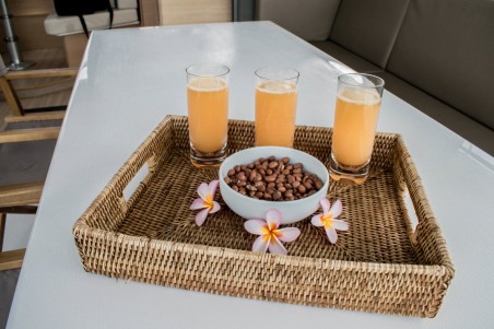 Nautitech Rochefort Nautitech 40 Open - 4 cab. Sea Spirit