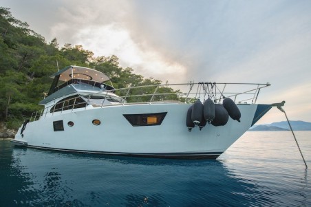 Custom Made Golden blue Golden Blue