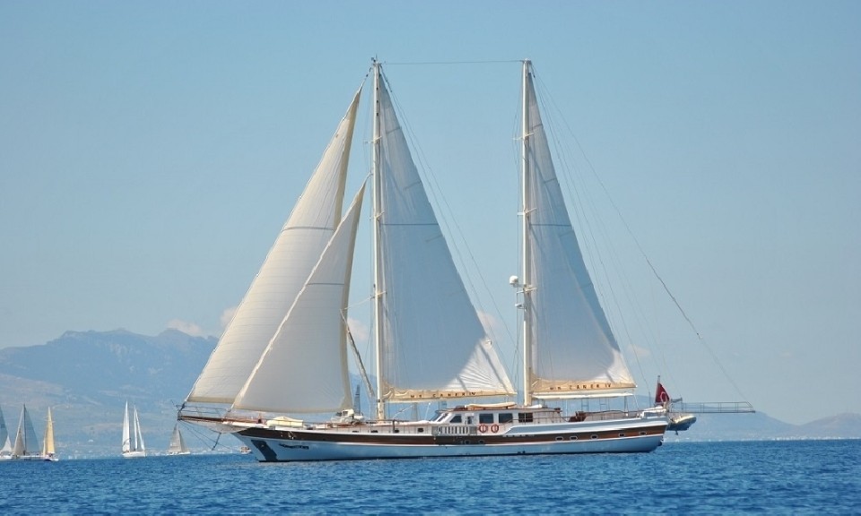 Custom Made Caner 4 Caner 4