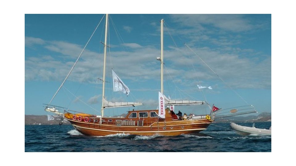 Custom Made Neptun Neptun