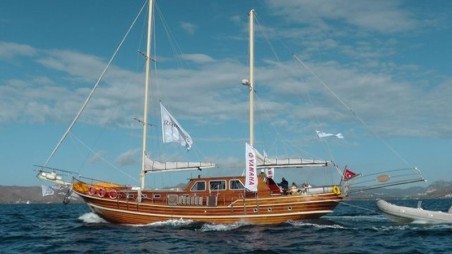 Custom Made Neptun Neptun