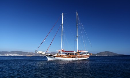 Custom Made Perrinita Perrinita