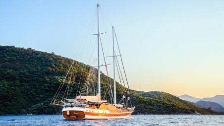 Unknown Wicked Felina Wicked Felina