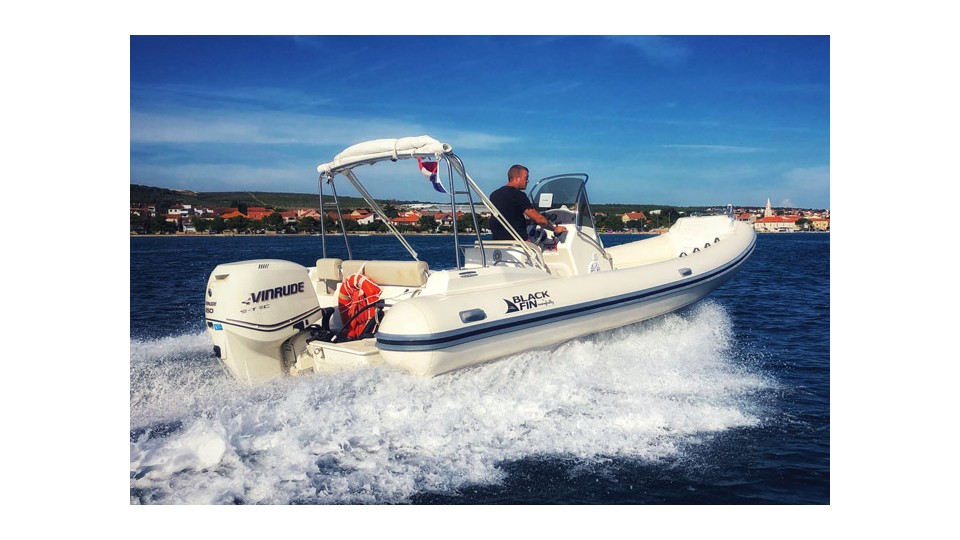 Nuova Jolly Marine Black Fin Black Fin