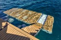 Galeon 420 Fly | Czarter jachtu Chorwacja | Travelboat - 16